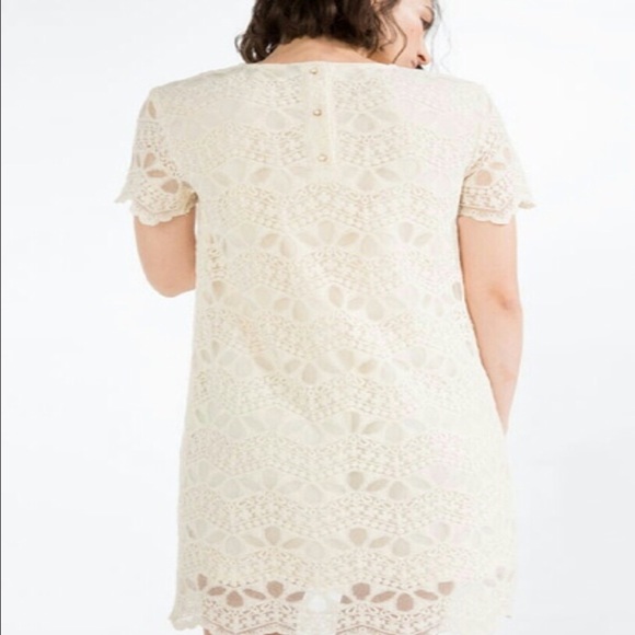 Zara Beige Cream Lace Short Sleeve Dress Small - Picture 2 of 8